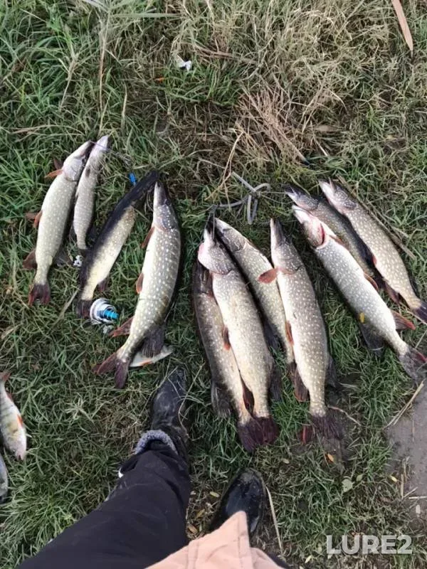 Pike — Kazachiy Yerik, Oct 26, 2018