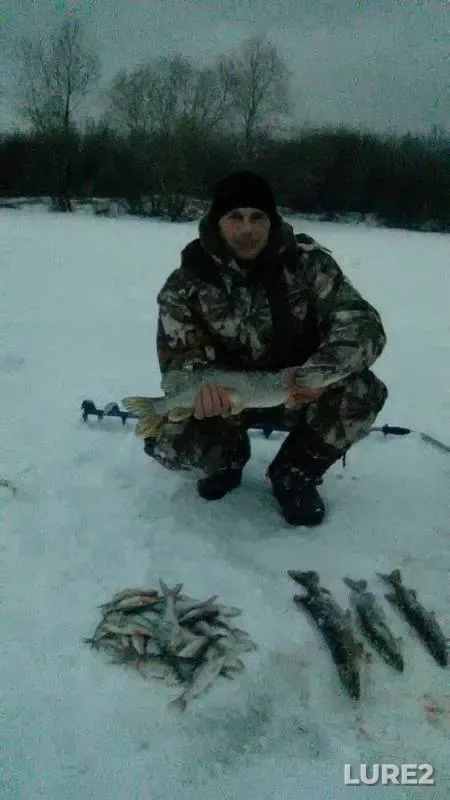 Pike, Roach — Podstanki, Dec 13, 2015