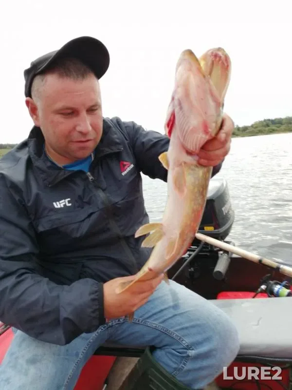 Pike — Velikaya, Sep 12, 2019