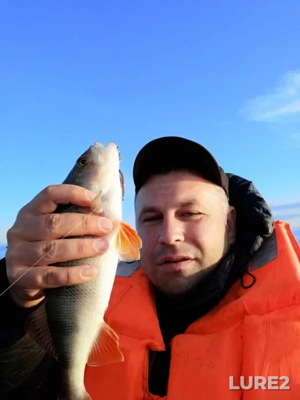 Perch — Ilmen, Sep 01, 2019