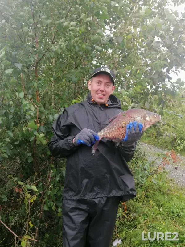 Bream — Kamskoye, Nov 04, 2019
