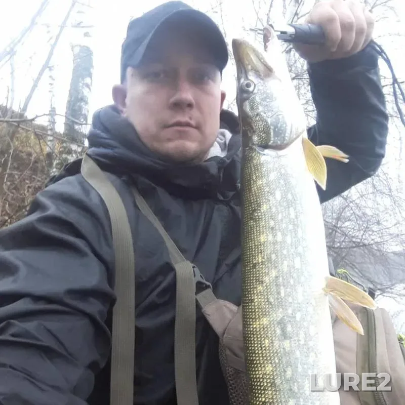 Perch, Pike — Moskva, Nov 18, 2019