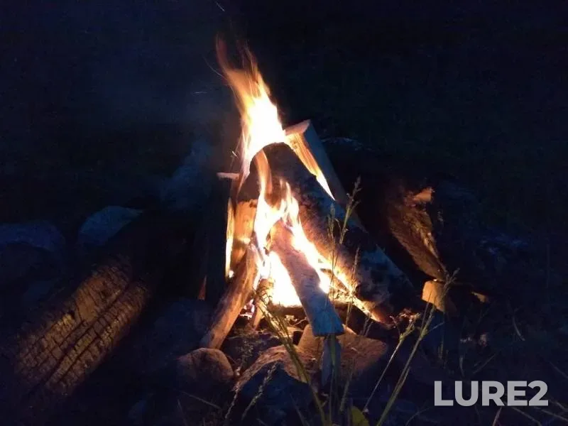 Bream, Pike — Leningradskaya oblast, Priozerskiy rayon, Jun 13, 2019
