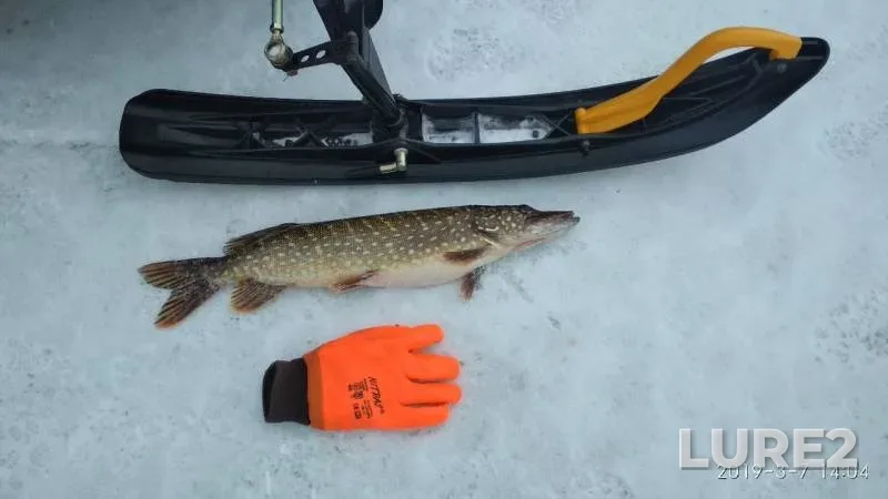 Burbot, Ide — Berezayka, Mar 17, 2019