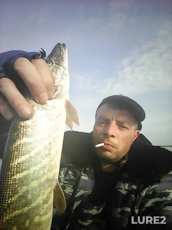 Pike — Chulkovka, Jun 11, 2017