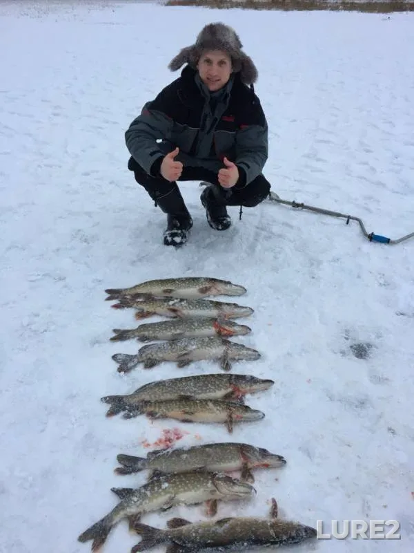 Pike — Vishnyovskoye, Dec 20, 2017
