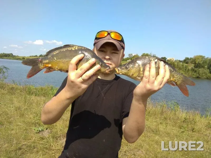 Carp — Zhitomirska oblast, Aug 31, 2018