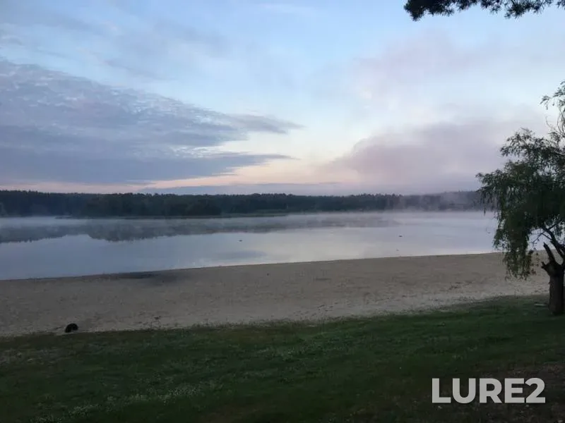 Bream, White bream — Zhitomirska oblast, Jun 26, 2018