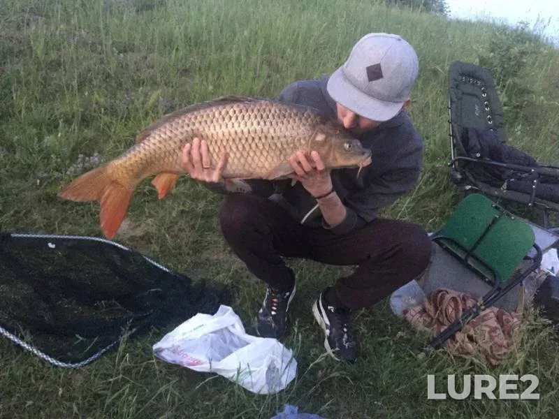 Carp — Zhitomirska oblast, May 26, 2018