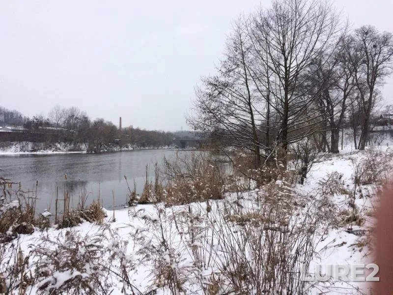 Zander — Zhitomirska oblast, Feb 18, 2018