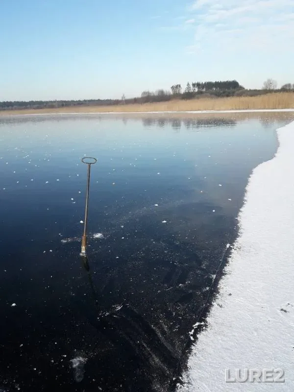 Pike — Zhitomirska oblast, Jan 16, 2018