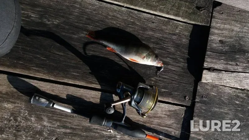 Perch — Zhitomirska oblast, Dec 08, 2017