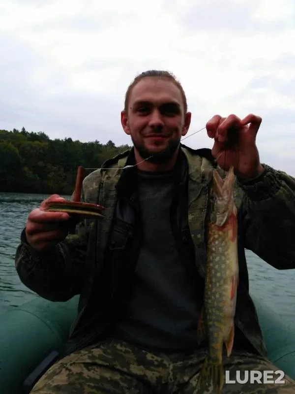 Pike — Zhitomirska oblast, Sep 24, 2017