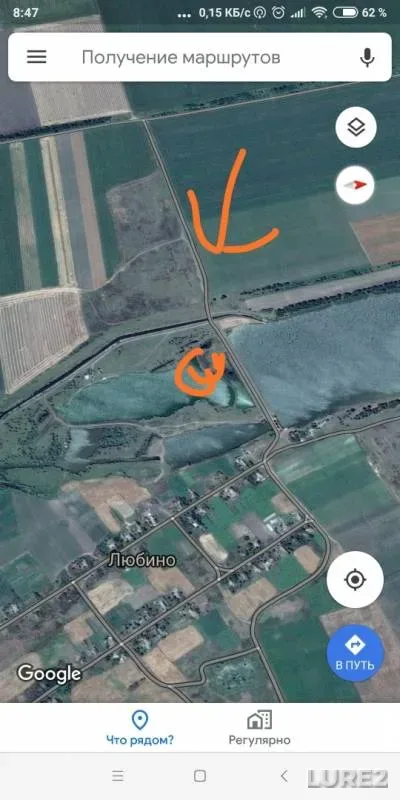 Grass carp — Mikolaїvska oblast, Dec 23, 2018