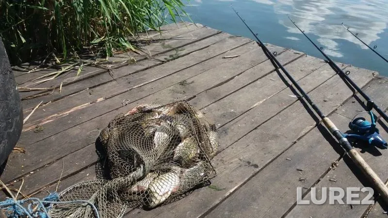 Crucian carp — Ingul, Jul 02, 2018