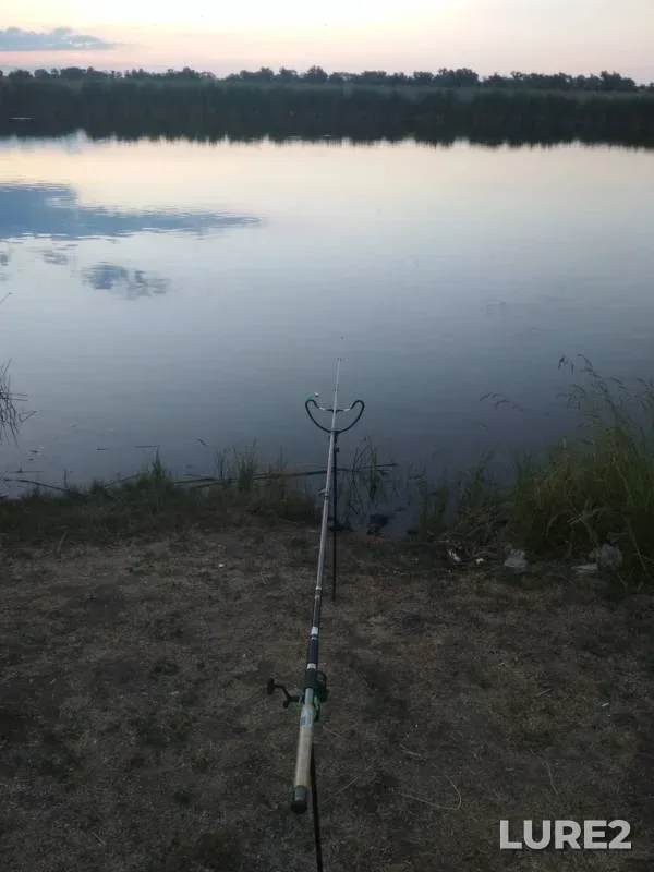 Crucian carp — Ingul, Jun 11, 2018