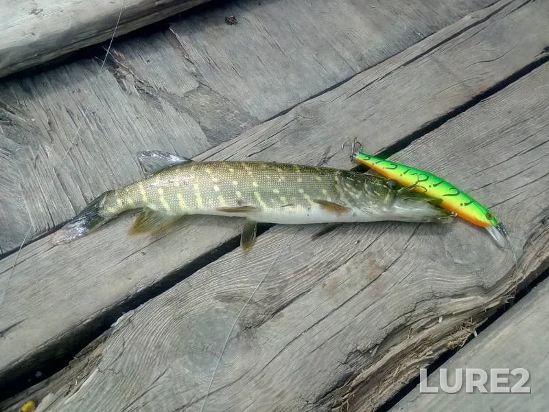Pike — Ingul, Jun 09, 2018