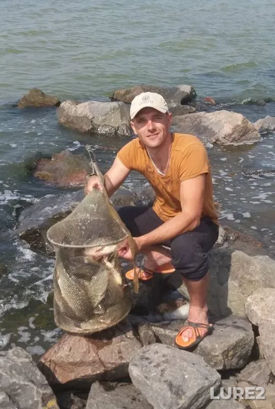 Crucian carp — Mikolaїvska oblast, Jun 06, 2018