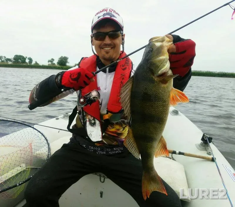 Perch, Pike — Yuzhnyy Bug, May 30, 2018