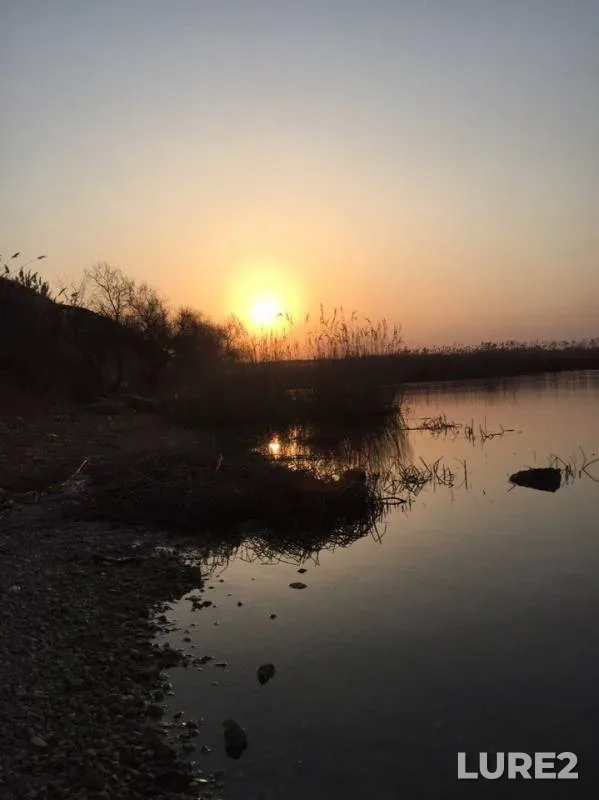 Crucian carp — Ingul, Apr 15, 2018