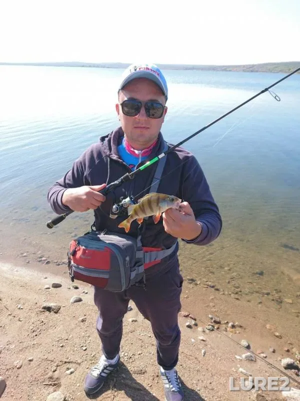 Perch — Yuzhnyy Bug, Oct 01, 2017