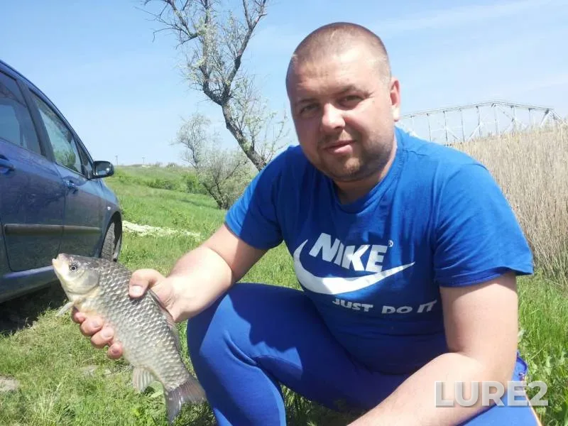 Crucian carp — Dnepr, Sep 27, 2017