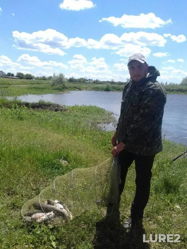 Crucian carp, Silver carp — Khersonska oblast, Sep 24, 2017