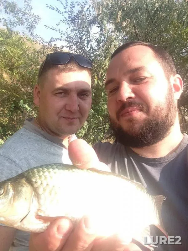 Crucian carp — Ingul, Sep 10, 2017
