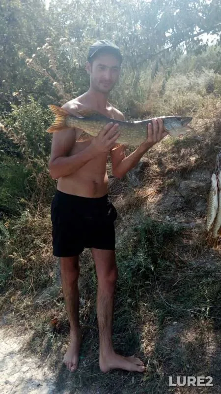 Pike — Ingul, Aug 28, 2017