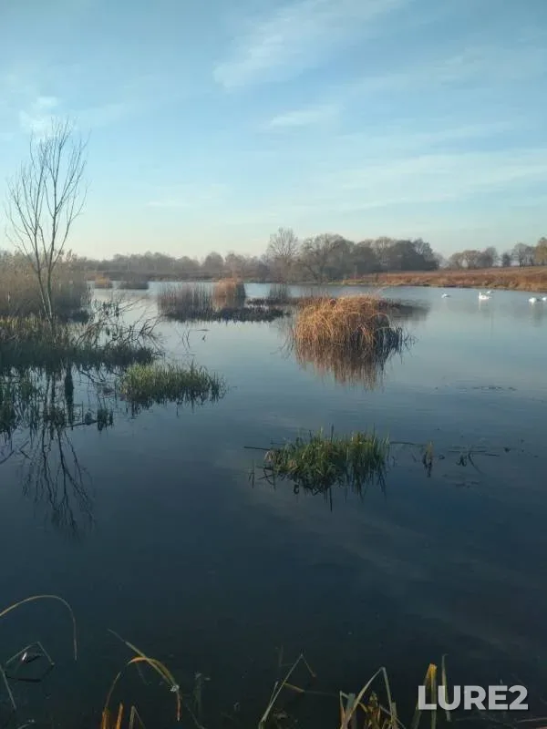Pike — Karpovyy, Nov 19, 2019