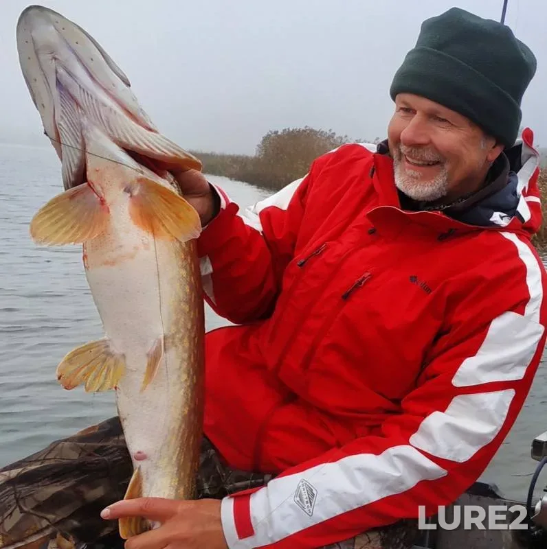 Pike — Kaliningradskaya oblast, Nov 12, 2019
