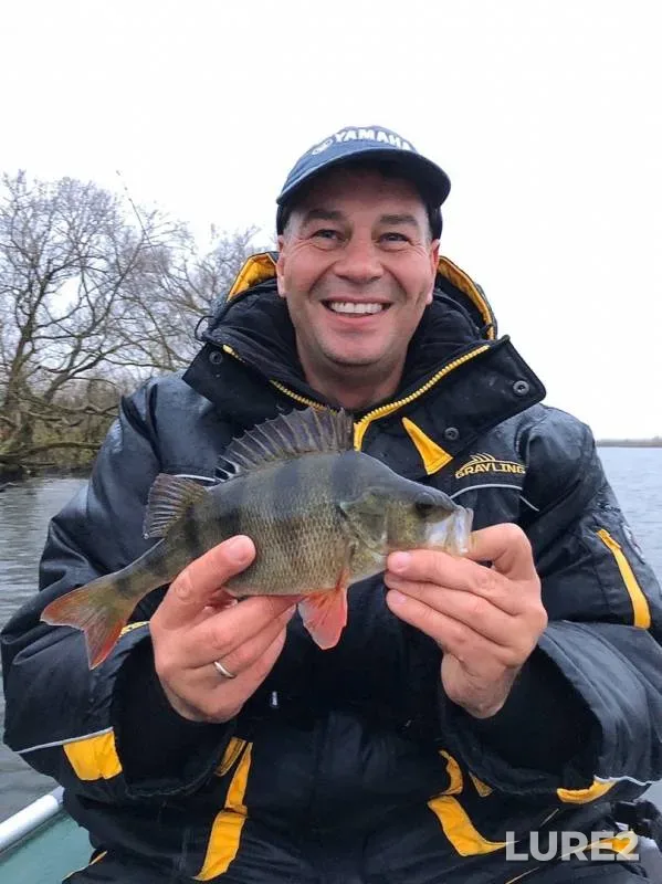 Perch — Pregolya, Nov 03, 2019