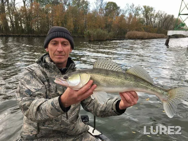 Zander — Kaliningradskiy kanal, Oct 23, 2019