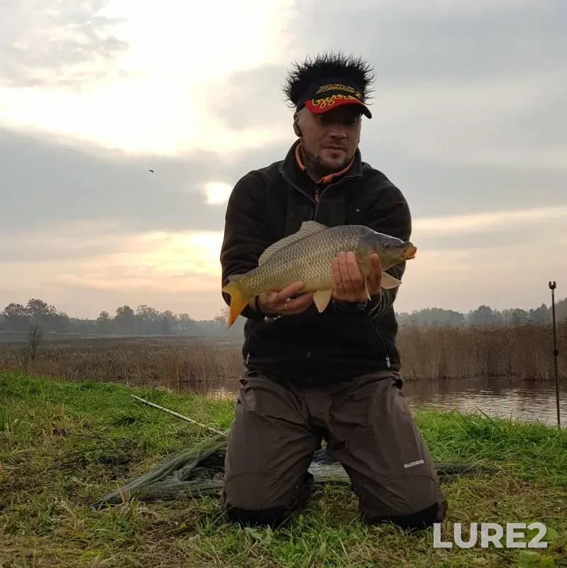 Carp — Rezvaya, Oct 20, 2019