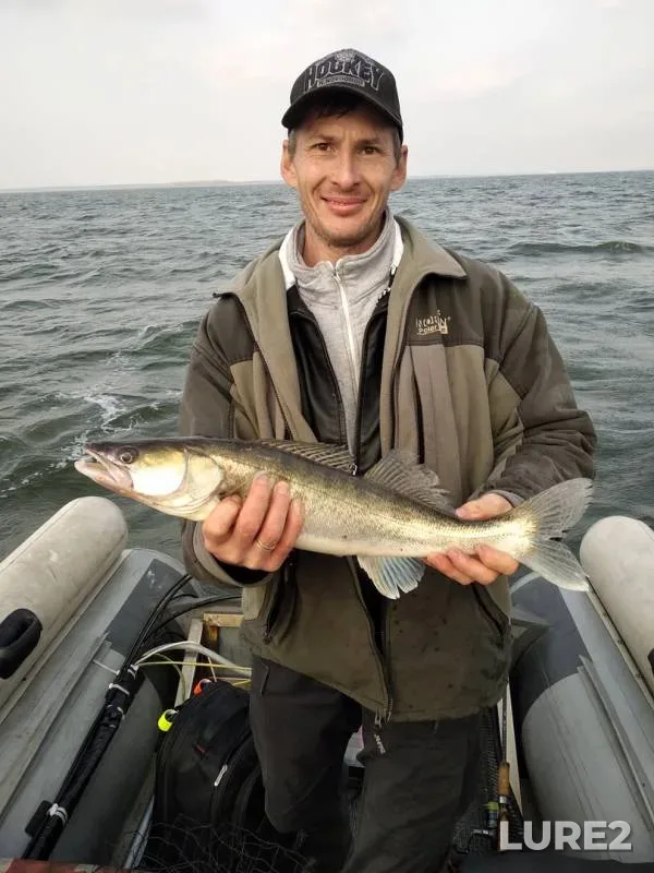 Zander — Kaliningradskaya oblast, Oct 16, 2019