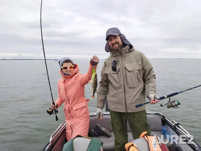 Perch, Zander — Kaliningradskaya oblast, Oct 02, 2019