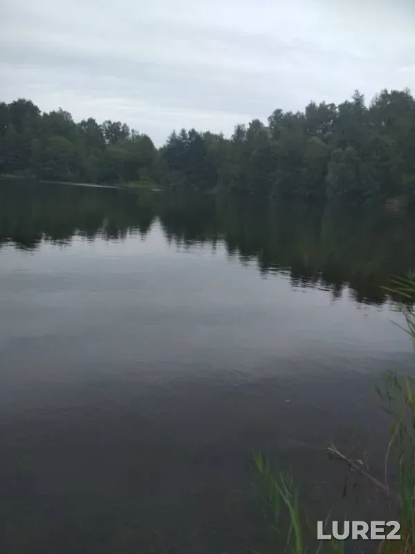 Perch — Skrytoye, Sep 12, 2019