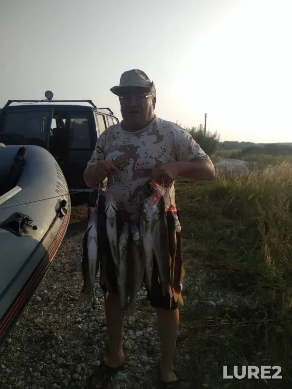 Zander — Prokhladnaya, Sep 03, 2019
