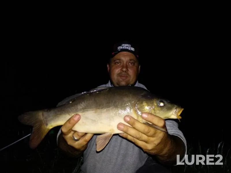 Carp — Rezvaya, Aug 06, 2019