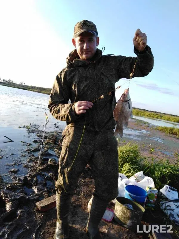 Crucian carp, Tench — Nemoninka, Jul 16, 2019