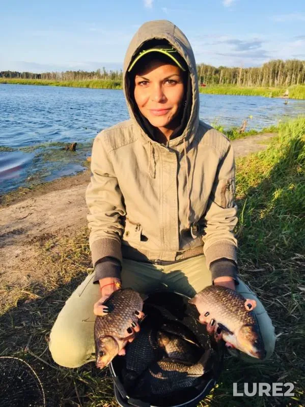 Crucian carp — Golovkinskiy kanal, Jul 13, 2019