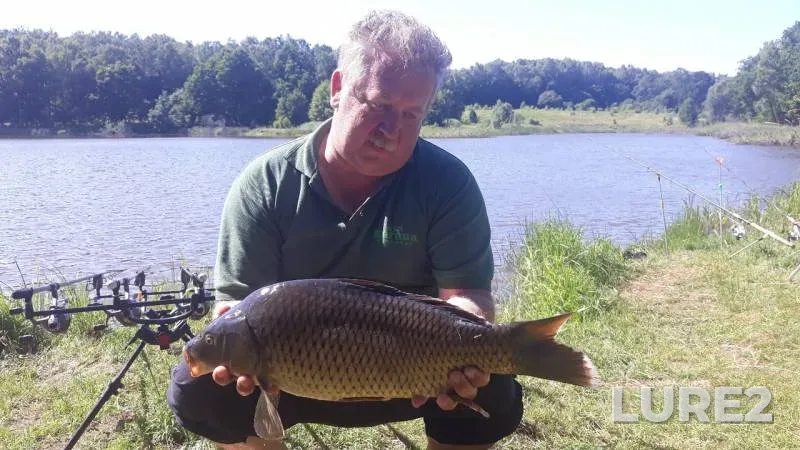 Carp — Shatry, Jul 02, 2019
