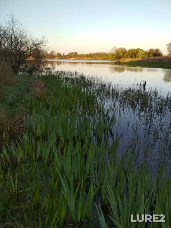Perch, Pike — Karpovyy, Apr 30, 2019