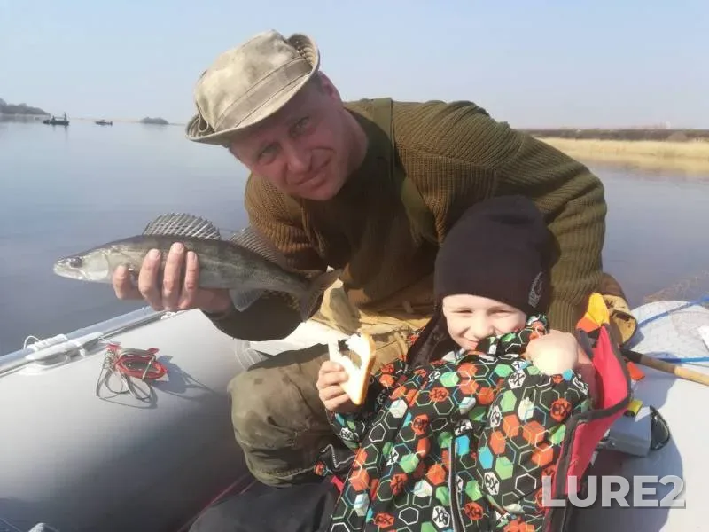 Zander — Lakovka, Apr 08, 2019