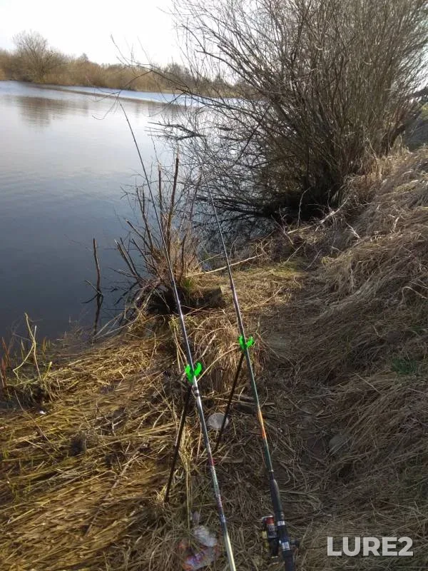 Bream, Perch — Polesskiy kanal, Mar 31, 2019