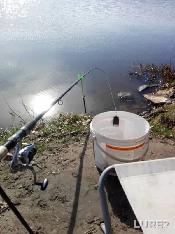 Bream, White bream — Pravdinskoye vodokhralilishche, Mar 30, 2019