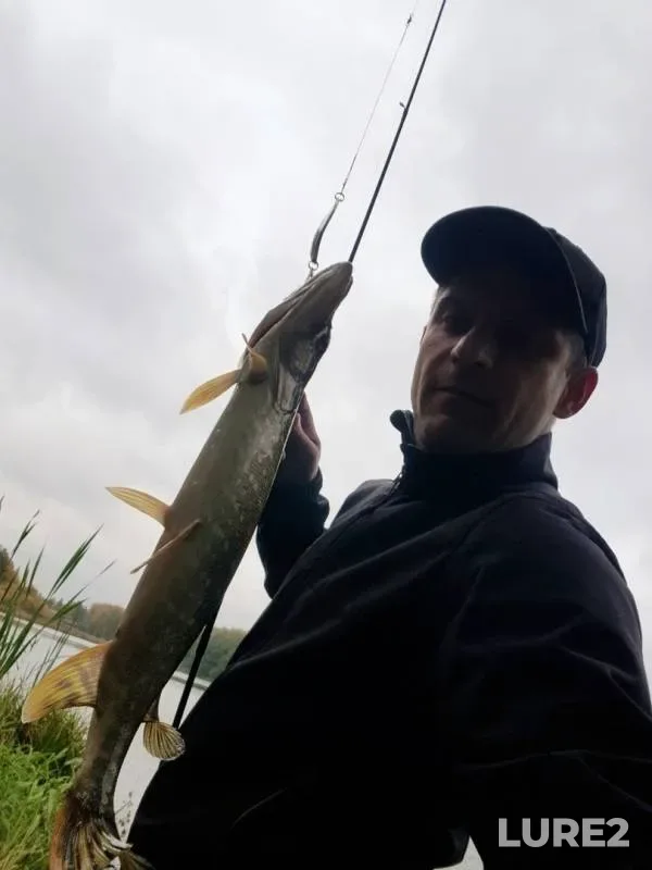 Pike — Pekhorka, Oct 17, 2019