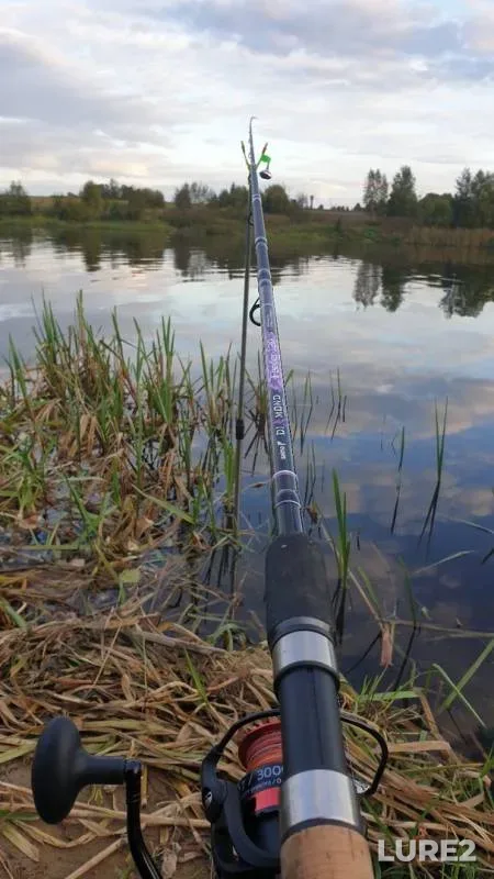 Bream — Tverskaya oblast, Sep 15, 2019