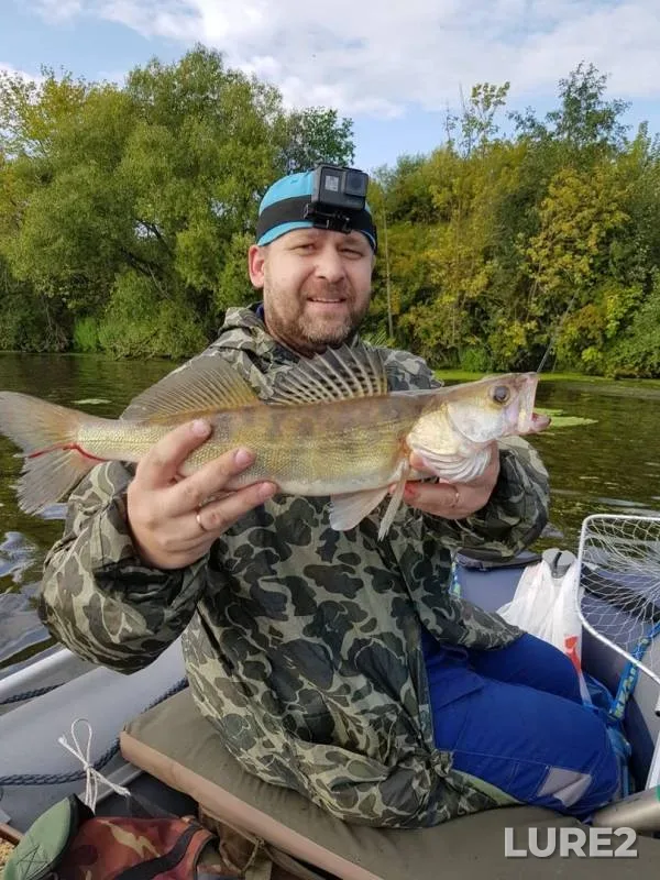 Pike, Zander — Moskva, Aug 03, 2019