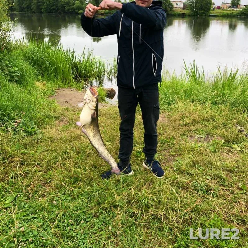 Bream — Dubna, Jul 20, 2019